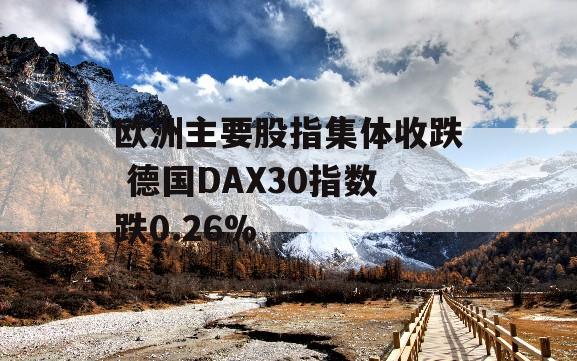 欧洲主要股指集体收跌 德国DAX30指数跌0.26%