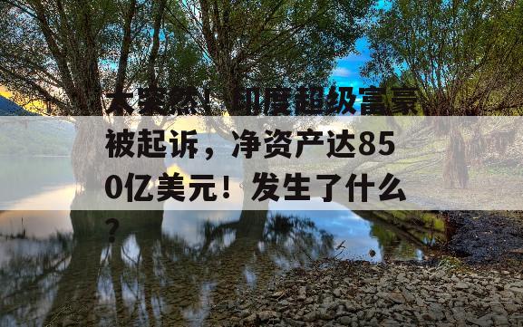 太突然！印度超级富豪被起诉，净资产达850亿美元！发生了什么？